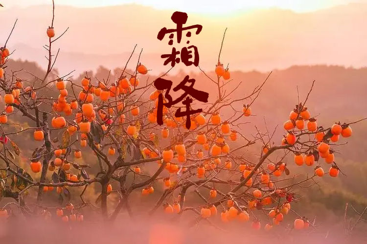 D(zhun)g˪һůƶﶬ