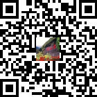 微微桐梓的微信公眾號(hào)二維碼 微微桐梓的微信公眾號(hào)二維碼